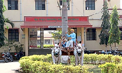 Bagalkote: ಹೊರ ರಾಜ್ಯಕ್ಕೂ ಬಾಗಲಕೋಟೆ ಮೆಕ್ಕೆಜೋಳ