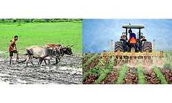 Generation: ತಲೆಮಾರಿನ ಬದಲಾವಣೆಯೊಂದಿಗೆ ಕೃಷಿಯ ರೂಪಾಂತರ