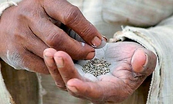 Gutka: ಕಣ ಕಣದಲ್ಲೂ ಅನಾರೋಗ್ಯ