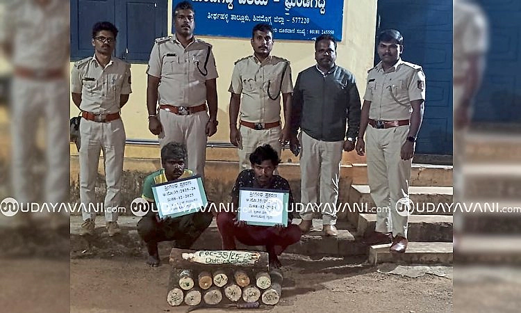 Shivamogga: ಮಂಡಗದ್ದೆ; ಅರಣ್ಯ ಇಲಾಖೆ ದಿಢೀರ್‌ ಕಾರ್ಯಾಚರಣೆ; ಇಬ್ಬರು ಆರೋಪಿಗಳು ಬಂಧನ