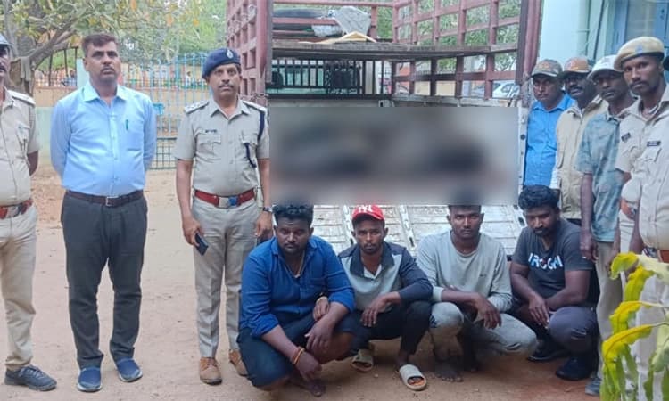 Koratagere: ನಾಲ್ವರು ವನ್ಯಜೀವಿ ಬೇಟೆಗಾರರ ಬಂಧನ: 7 ಕಾಡು ಹಂದಿಗಳ ರಕ್ಷಣೆ!