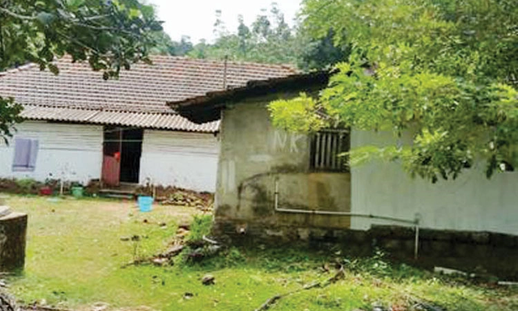 ಜಮೀನು ಸಂರಕ್ಷಣೆಗೆ ಪಿಟಿಸಿಎಲ್‌ ಹಾದಿ