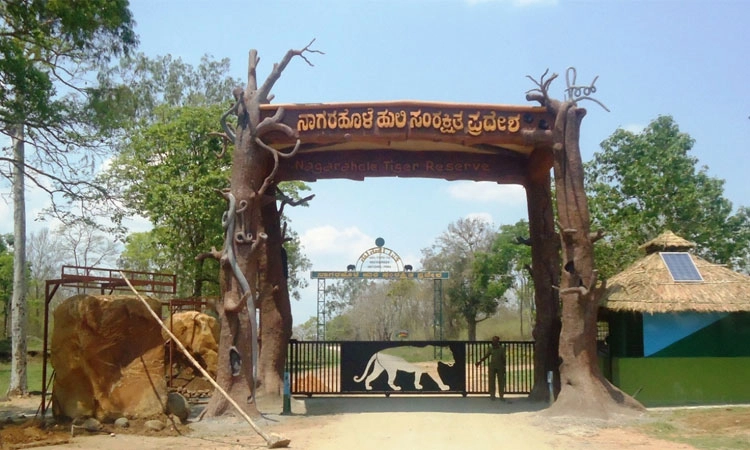 ನಾಗರಹೊಳೆಯಲ್ಲಿ ಫೆ.12ರವರೆಗೆ ಪಕ್ಷಿಗಳ ಸಮೀಕ್ಷೆ