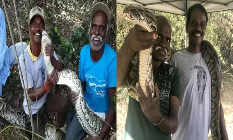 ಒಲಿದು ಬಂದ ಪದ್ಮ ಪ್ರಶಸ್ತಿ: ಪ್ರಾಚೀನ ದ್ರಾವಿಡ ಪಂಗಡ…ಇರುಲಾ ಹಾವಾಡಿಗರು…