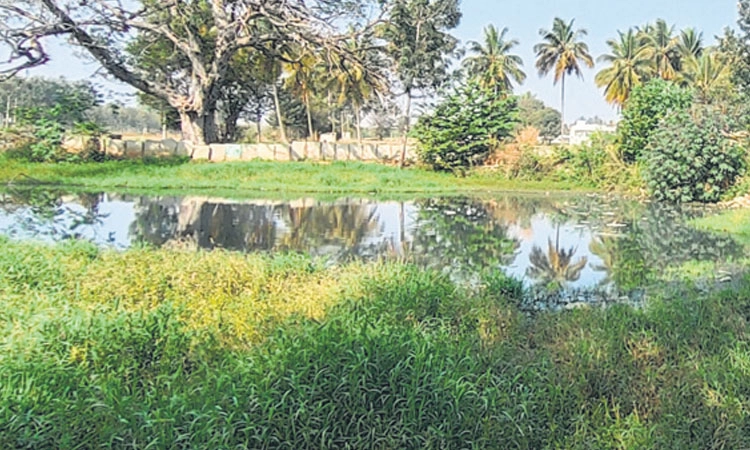 ನೀರಿನ ಕುಂಟೆಗೆ ಒಳಚರಂಡಿ ತ್ಯಾಜ್ಯ: ಆಕ್ರೋಶ