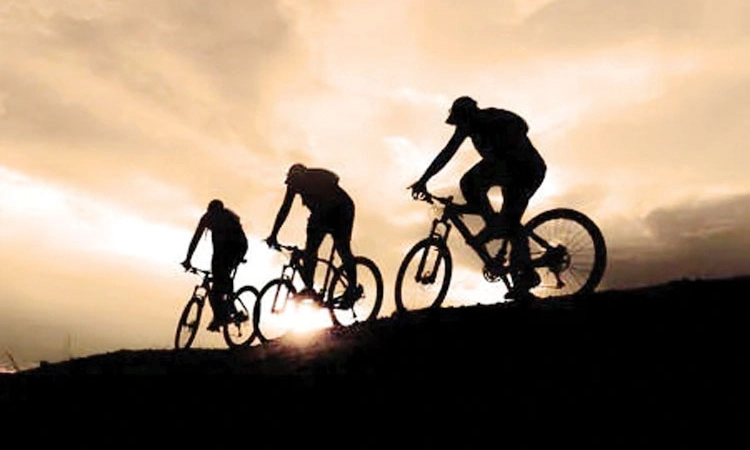 ಡಚ್ಚರ ನಗರಗಳೂ, ಬೈಸಿಕಲ್‌ಗ‌ಳೂ…