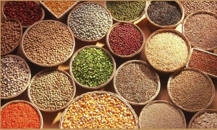 ಸಿರಿಧಾನ್ಯ ಉತ್ಪನ್ನಗಳ ಬಾಳಿಕೆ ಹೆಚ್ಚಳ?