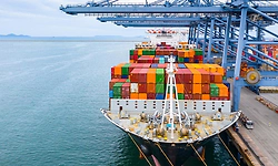 India widens export basket: Amrapali mangoes, premium cherries, frozen French fries find new markets