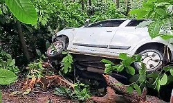 Chikkamagaluru: Car overturns into coffee estate after driver loses control