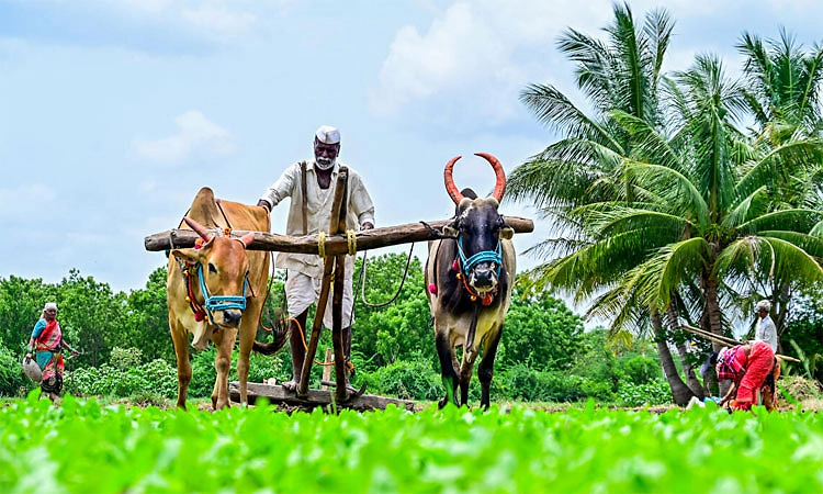 Budget:ಕೃಷಿ ಕ್ಷೇತ್ರಕ್ಕೆ ಬಂಪರ್ ಕೊಡುಗೆ-ಕೋಲಾರ ಪ್ರತಿ ಜಿಲ್ಲೆಯಲ್ಲೂ ರೈತ ಮಾಲ್ ಸ್ಥಾಪನೆ