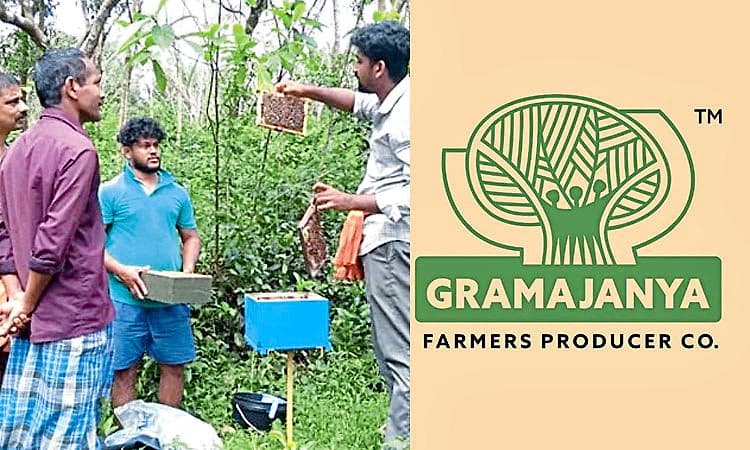 ರೈತರಿಂದ, ಎಲ್ಲರಿಗಾಗಿ..! ಹಳ್ಳಿ ಜೇನಿನ ಸಿಹಿ ವೃದ್ಧಿಸಿದ ಗ್ರಾಮಜನ್ಯ