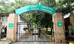 NGT issues notice to Karnataka, others over mass fish kill in Belagavi lake