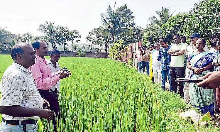 ಹಸಿರಿನೊಂದಿಗೆ ಮಾತುಕತೆ: ಕೃಷಿಕರಿಂದ...ಕೃಷಿಕರಿಗಾಗಿ..!