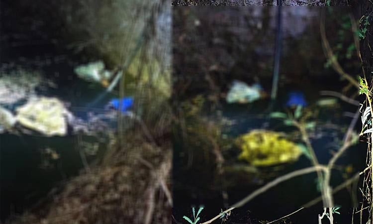 ಮೂವರು ಪುಟ್ಟ ಮಕ್ಕಳೊಂದಿಗೆ ತಾಯಿಯೂ ಬಾವಿಗೆ ಹಾರಿ ಆತ್ಮಹ*ತ್ಯೆ!