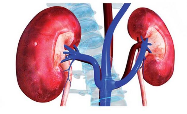 kidney-diseases-16.jpg