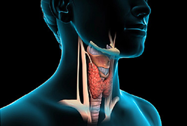 Thyroid-25-4.jpg