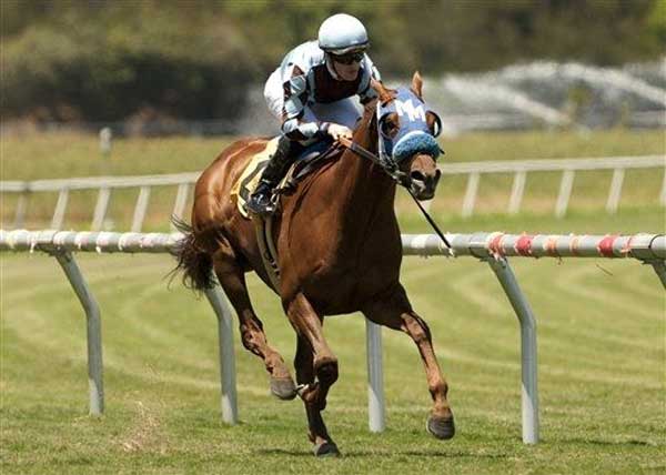 racing-horse.jpg