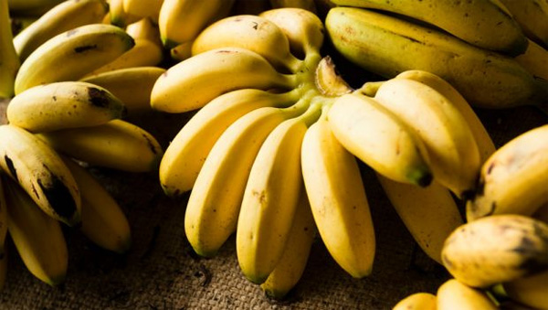 Banana-18-8.jpg