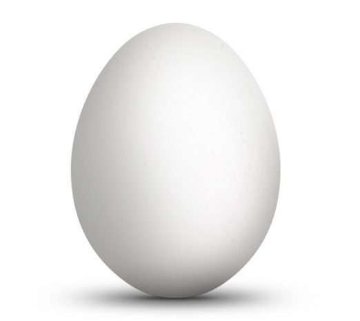 h1-egg.jpg