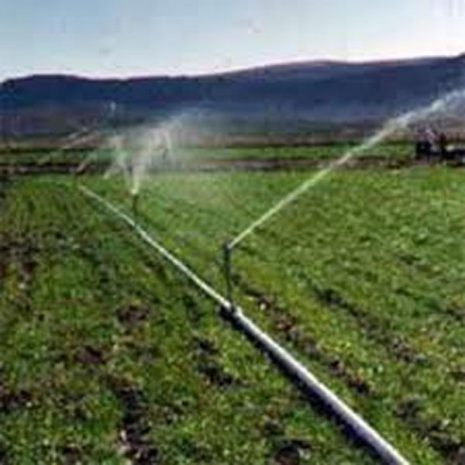 Sprinkler-Irrigation.jpg