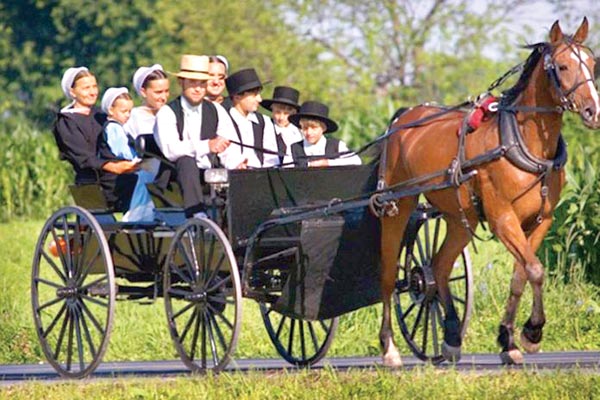 Amish-cancer-healthy.jpg