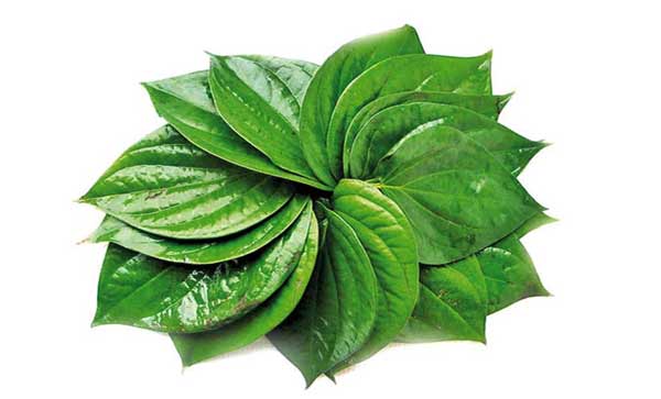 betel-leaf.jpg
