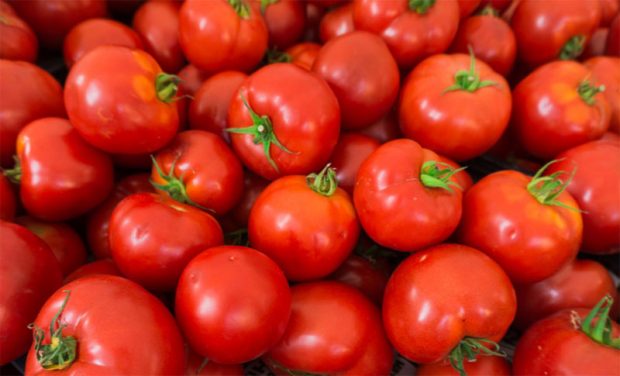 tomato-ss.jpg
