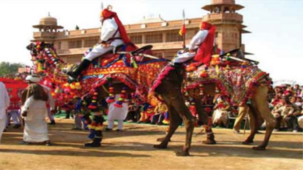 camel-festival1-700.jpg