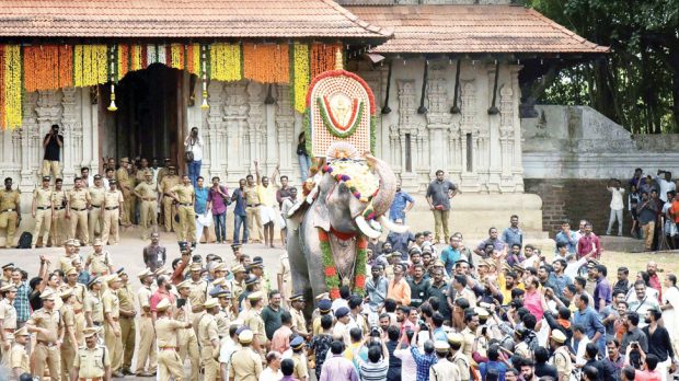 Elephant-Ramachandran–Pooram