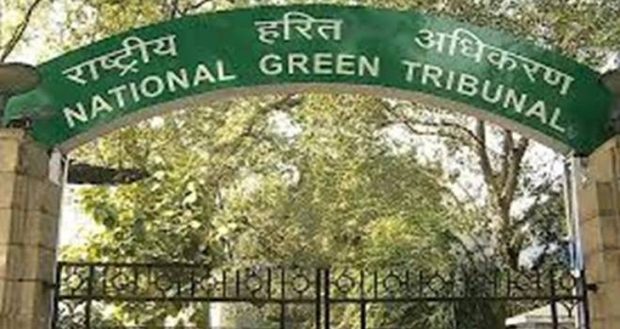 National-Green-Tribunal-730