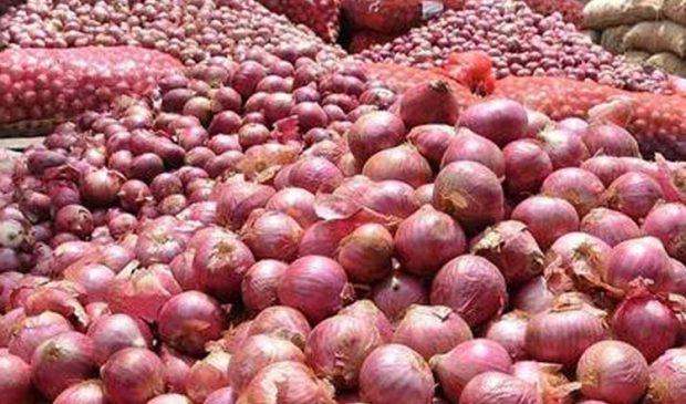Onion-imports-from-Afghanistan