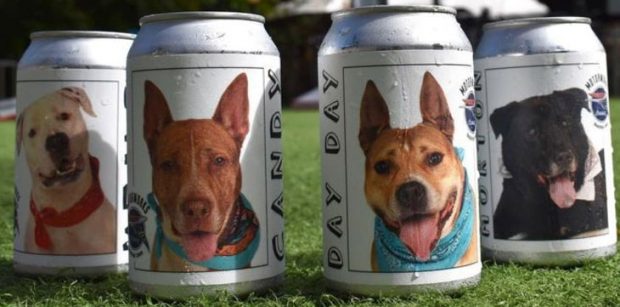 Beer-Dog-5-2