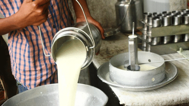 Shimool Milk Union has decided not to buy milk from farmers