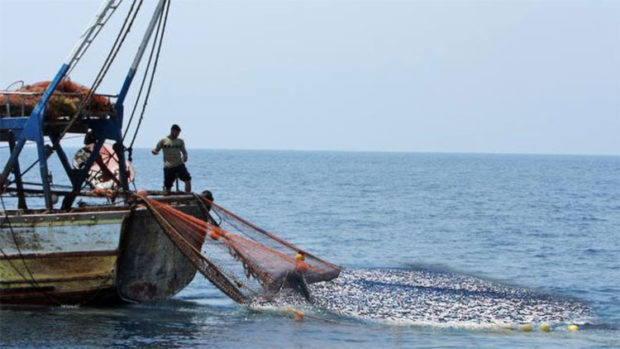 Fishingಮೀನುಗಾರರ ಸುರಕ್ಷೆ: ಕಾರ್ಯಗತಗೊಂಡಿಲ್ಲ ಸುಧಾರಿತ ತಂತ್ರಜ್ಞಾನ