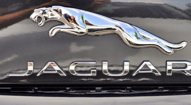 jaguar car