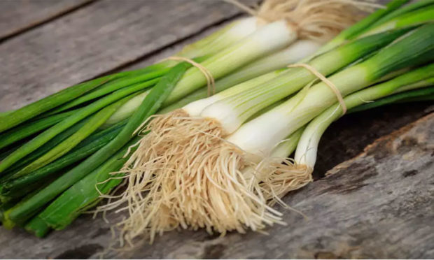 Health benefits of spring onions