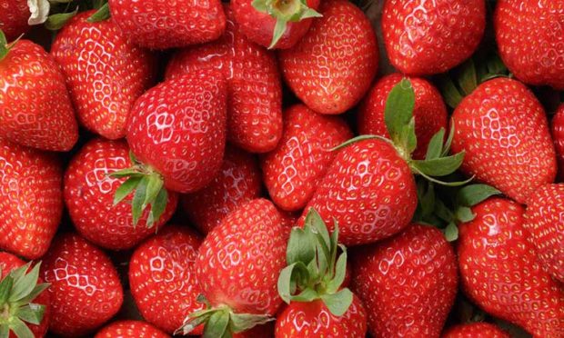 Nutritional Benefits of the Strawberry