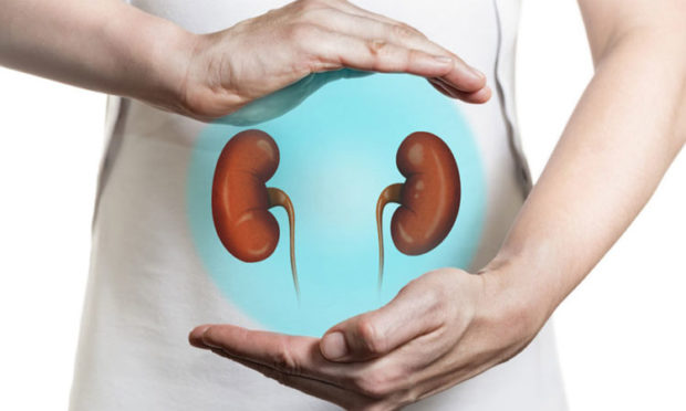 Chronic kidney diseases