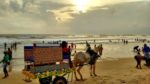 ‘Vision Group’ planned for development of Karnataka’s coast