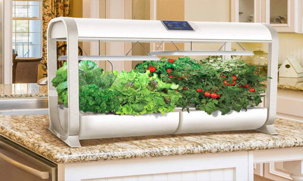 Smart Garden is the most advanced and easiest indoor gardening solution
