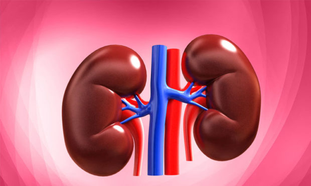 Types of medical examination of the kidneys