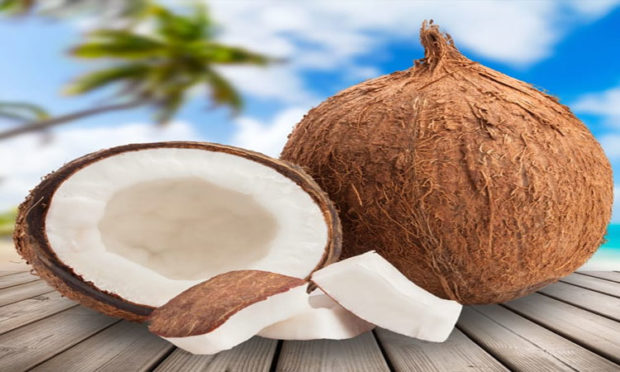 Goa Coconut Price Increase