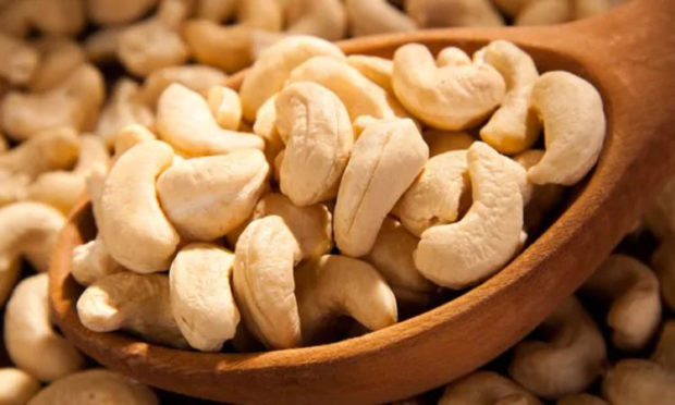 Goa Cashew nuts Description