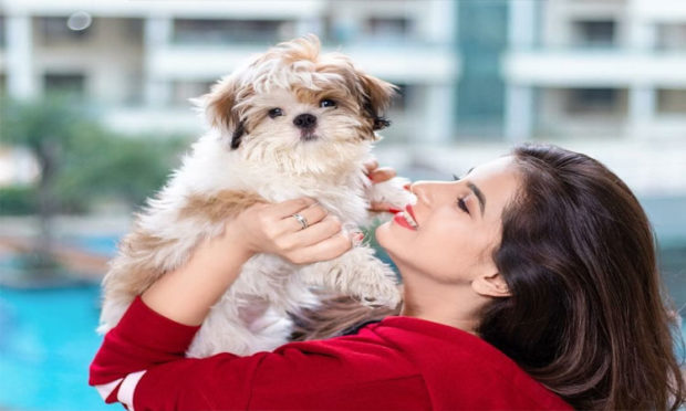 Beautyfull Girl Dog Love, College Campus Article