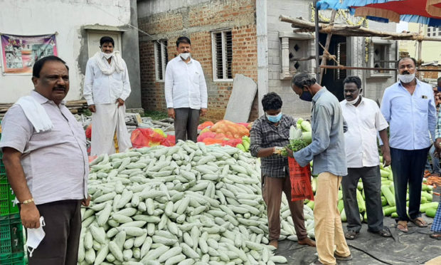 Distribution to vegetable