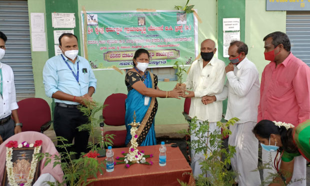 Distribution of saplings from Dharmasthala Institute