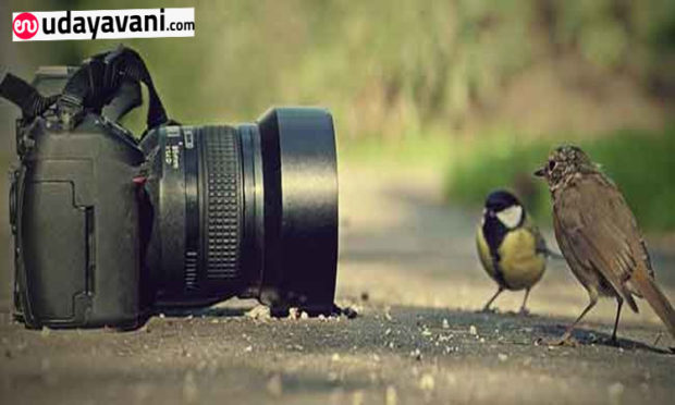 Photography Day is a day whereby we pay tribute to the incredible art form that is photography.