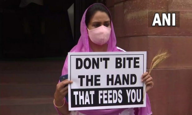 dont-bite-hand-that-feeds-you-sad-mp-harsimrat-kaur-continues-protest-on-farm-laws