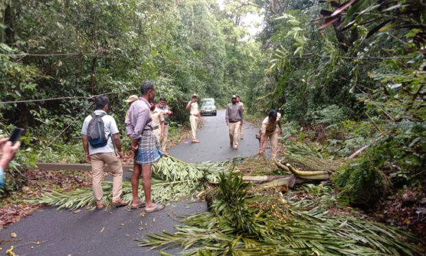 incident held at agumbe