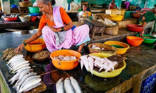 Lack of fish in Goa
